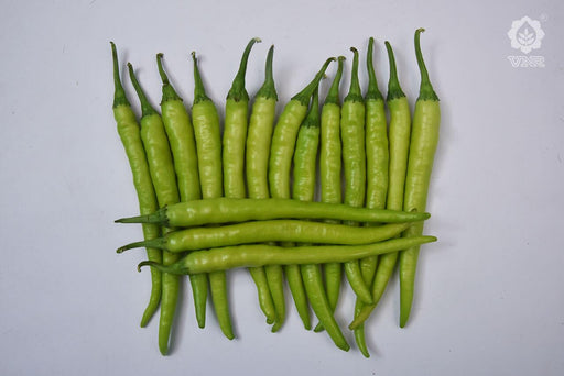 VNR 109 F1 Hybrid Chilli (VNR Seed's) - Farmers Stop