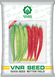 VNR 109 F1 Hybrid Chilli (VNR Seed's) - Farmers Stop