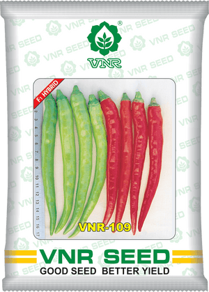 VNR 109 F1 Hybrid Chilli (VNR Seed's) - Farmers Stop