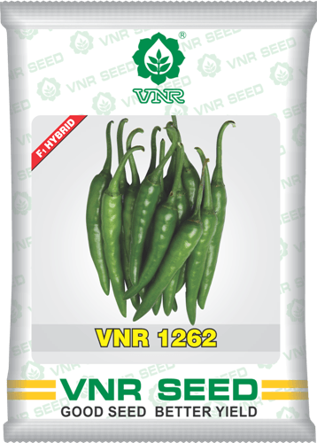 VNR 1262 F1 Hybrid Chilli (VNR Seed's) - Farmers Stop