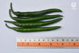 VNR 1307 F1 Hybrid Chilli (VNR Seed's) - Farmers Stop
