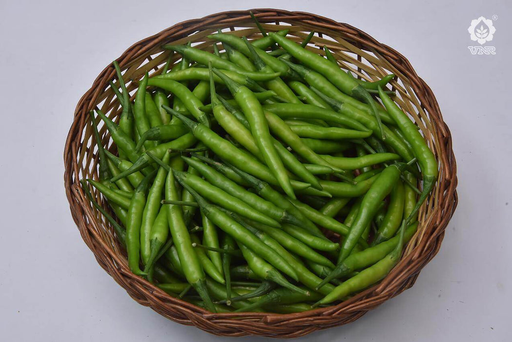 VNR 1366 F1 Hybrid Chilli (VNR Seed's) - Farmers Stop