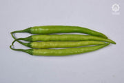 VNR-145 F1 Hybrid Chilli (VNR Seeds) — product image 4