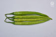 VNR-145 F1 Hybrid Chilli (VNR Seeds) - Farmers Stop