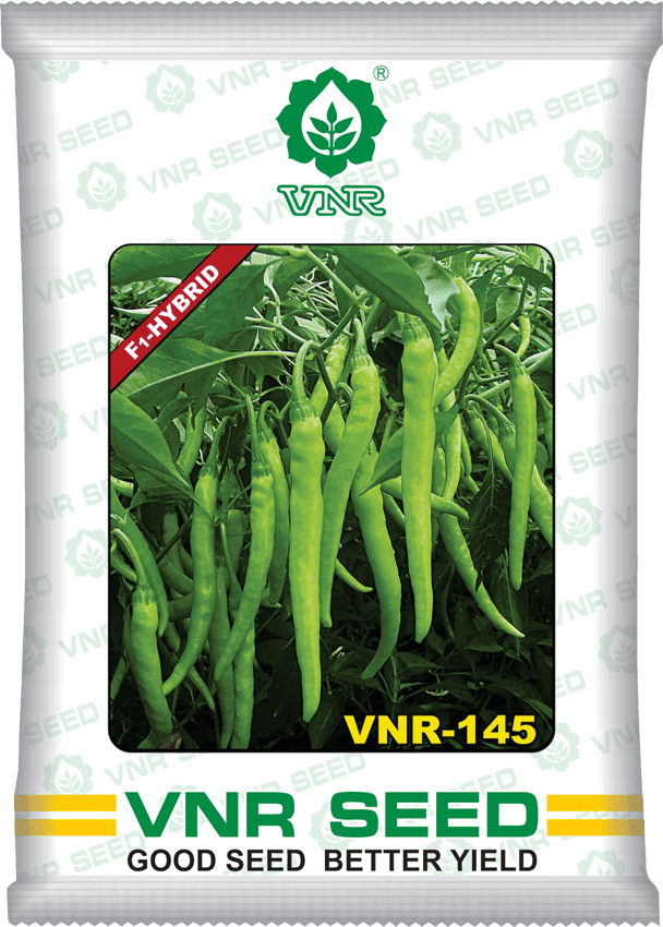 VNR-145 F1 Hybrid Chilli (VNR Seeds) — product image 1