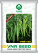 VNR-145 F1 Hybrid Chilli (VNR Seeds) - Farmers Stop