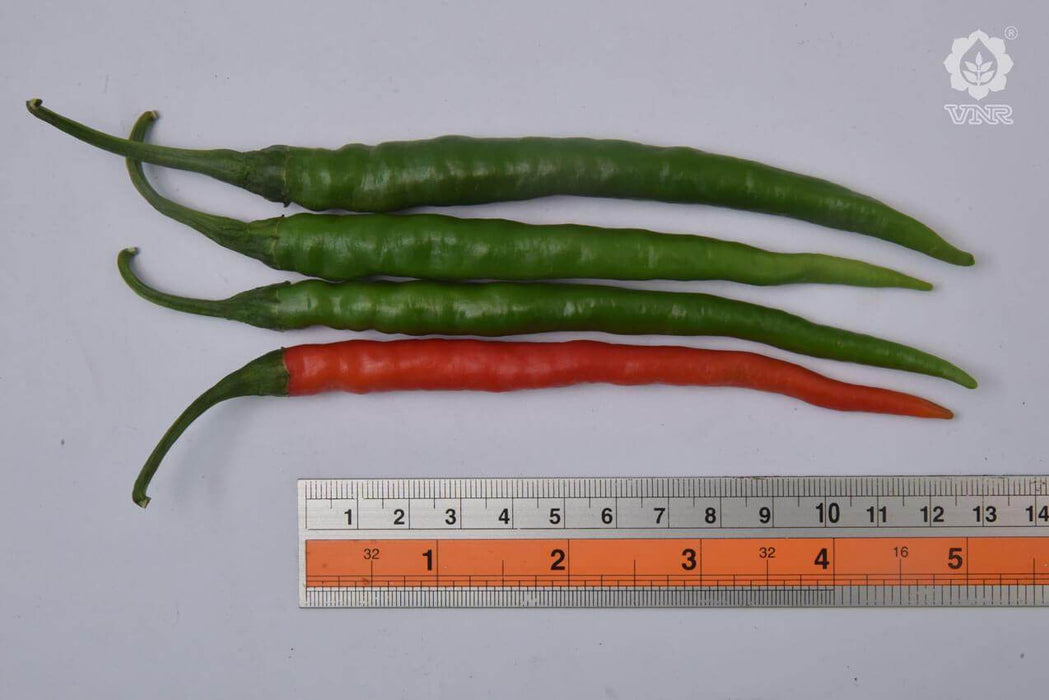VNR 1786 F1 Hybrid Chilli (VNR Seeds) - Farmers Stop