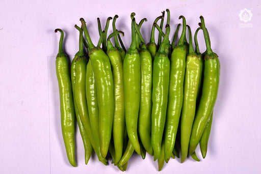 VNR 1921 F1 Hybrid Chilli (VNR Seed's) - Farmers Stop