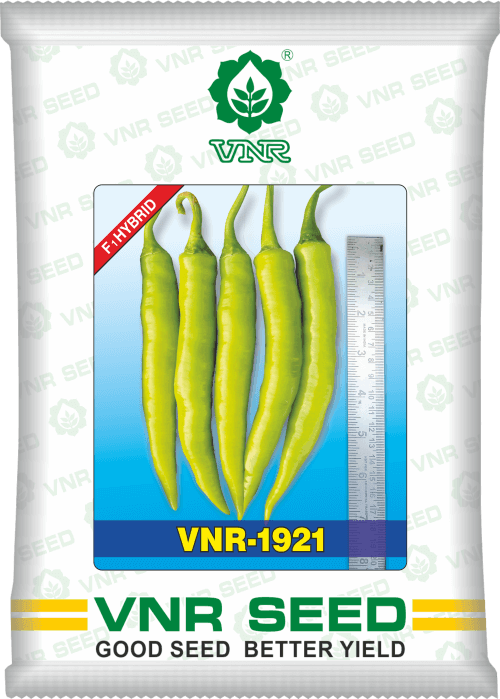 VNR 1921 F1 Hybrid Chilli (VNR Seed's) - Farmers Stop