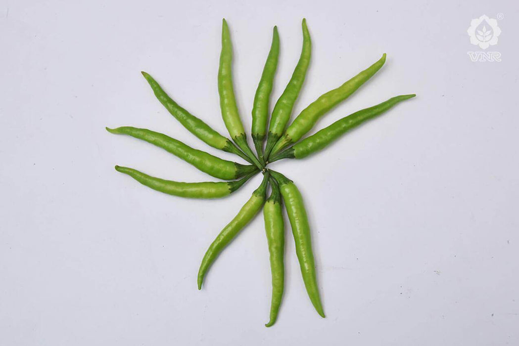 VNR 223 F1 Hybrid Chilli (VNR Seed's) - Farmers Stop