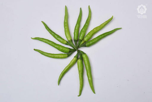 VNR 223 F1 Hybrid Chilli (VNR Seed's) - Farmers Stop
