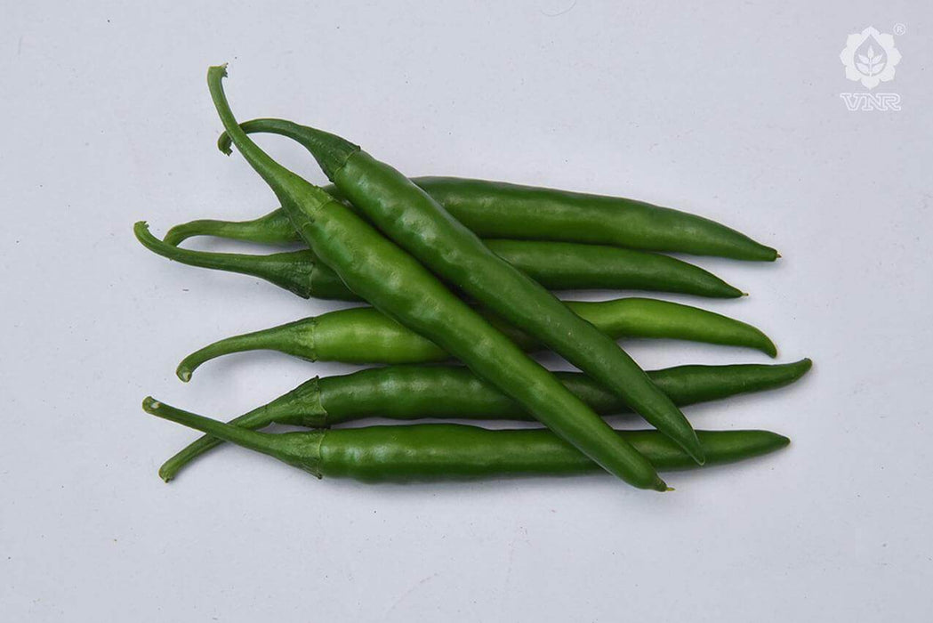 VNR 26-13 F1 Hybrid Chilli (VNR Seed's) - Farmers Stop