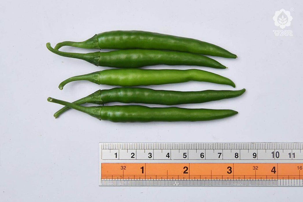 VNR 26-13 F1 Hybrid Chilli (VNR Seed's) - Farmers Stop