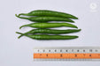 VNR 26-13 F1 Hybrid Chilli (VNR Seed's) - Farmers Stop