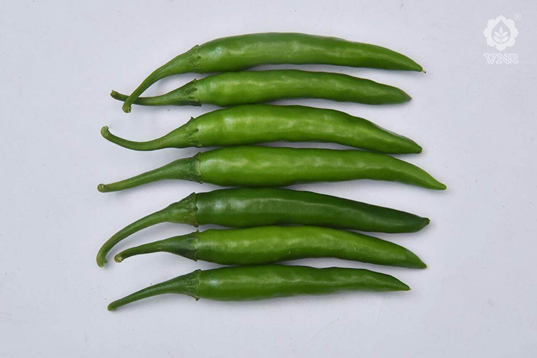 VNR 305 F1 Hybrid Chilli (VNR Seed's) - Farmers Stop
