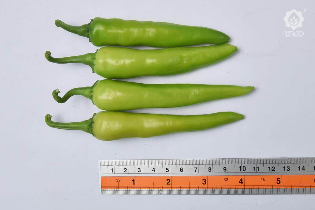 VNR 314 F1 Hybrid Chilli (VNR Seed's) - Farmers Stop
