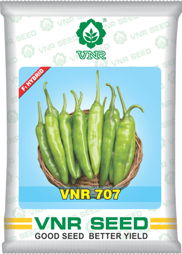 VNR 707 F1 Hybrid Chilli (VNR Seed's) - Farmers Stop