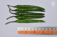 VNR 75 F1 Hybrid Chilli (VNR Seed's) - Farmers Stop