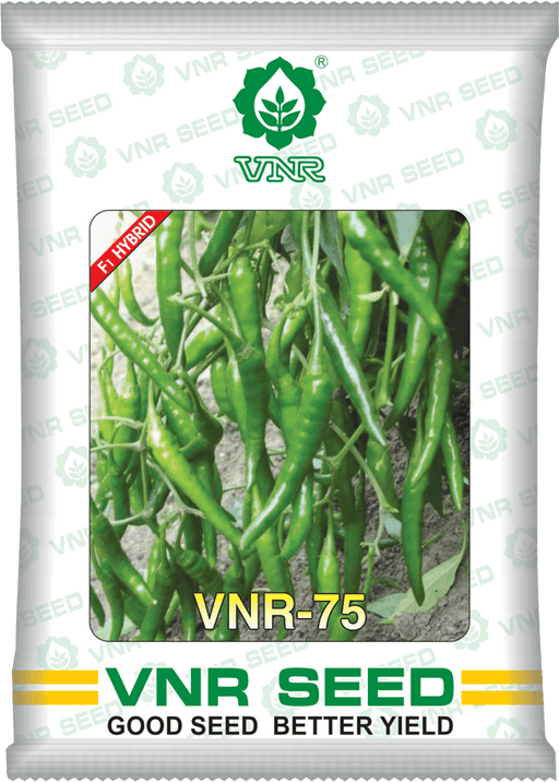 VNR 75 F1 Hybrid Chilli (VNR Seed's) - Farmers Stop