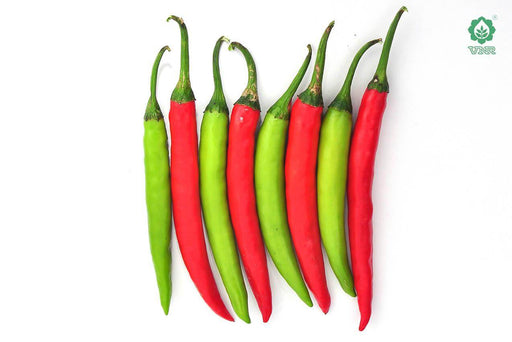 VNR 751 F1 Hybrid Chilli (VNR Seed's) - Farmers Stop