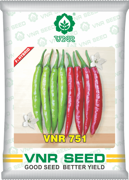 VNR 751 F1 Hybrid Chilli (VNR Seed's) - Farmers Stop