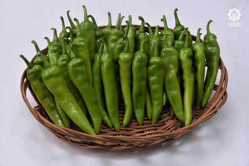 VNR 836 F1 Hybrid Chilli (VNR Seed's) - Farmers Stop