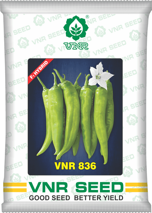 VNR 836 F1 Hybrid Chilli (VNR Seed's) - Farmers Stop