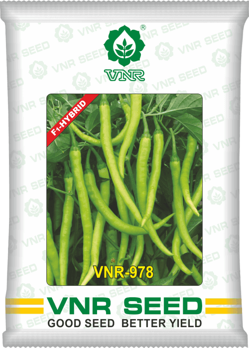 VNR 978 F1 Hybrid Chilli (VNR Seed's) - Farmers Stop