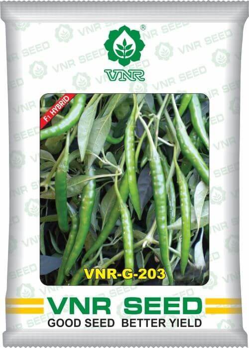 VNR G-203 F1 Hybrid Chilli (VNR Seed's) - Farmers Stop