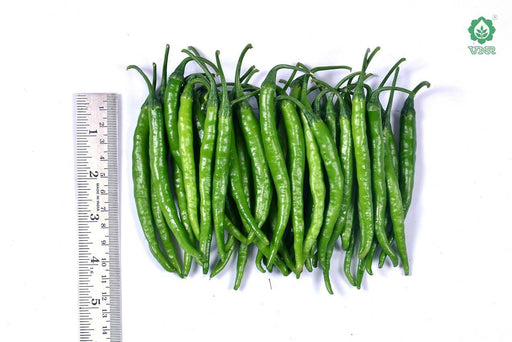 VNR G-203 F1 Hybrid Chilli (VNR Seed's) - Farmers Stop