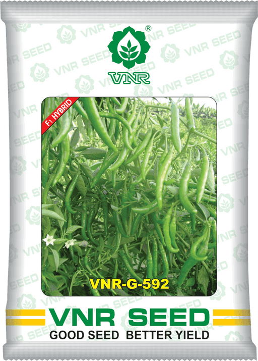 VNR G-592 F1 Hybrid Chilli (VNR Seed's) - Farmers Stop