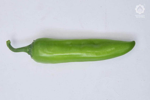 VNR G-907 F1 Hybrid Chilli (VNR Seed's) - Farmers Stop