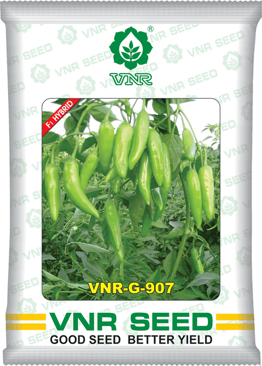 VNR G-907 F1 Hybrid Chilli (VNR Seed's) - Farmers Stop