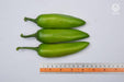 VNR G-907 F1 Hybrid Chilli (VNR Seed's) - Farmers Stop