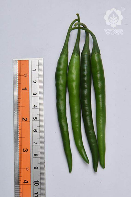 VNR Unnati (6013) F1 Hybrid Chilli (VNR Seed's) - Farmers Stop