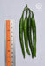 VNR Unnati (6013) F1 Hybrid Chilli (VNR Seed's) - Farmers Stop