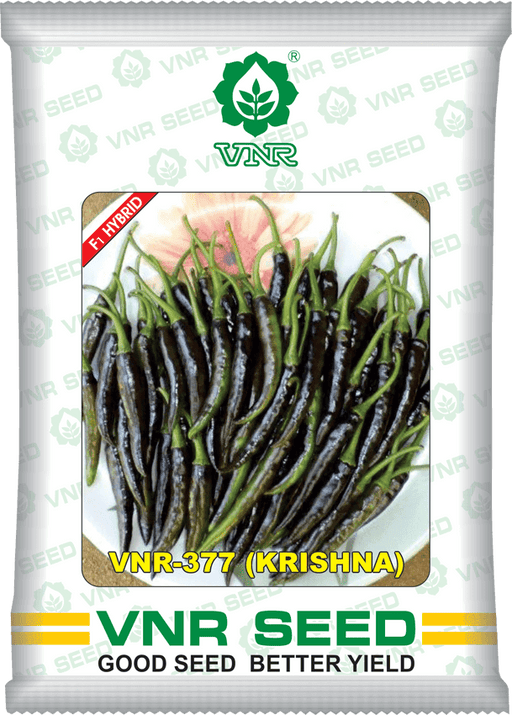 VNR-377 (Krishna) F1 Hybrid Chilli (VNR Seed's) - Farmers Stop