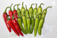 VNR CH-27 F1 Hybrid Chilli (VNR Seed's) - Farmers Stop