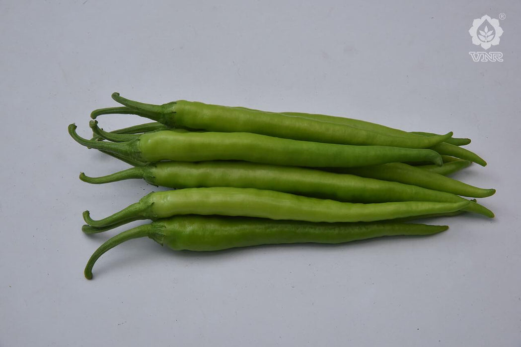 Charmee (G-303) F1 Hybrid Chilli (VNR Seed's) - Farmers Stop