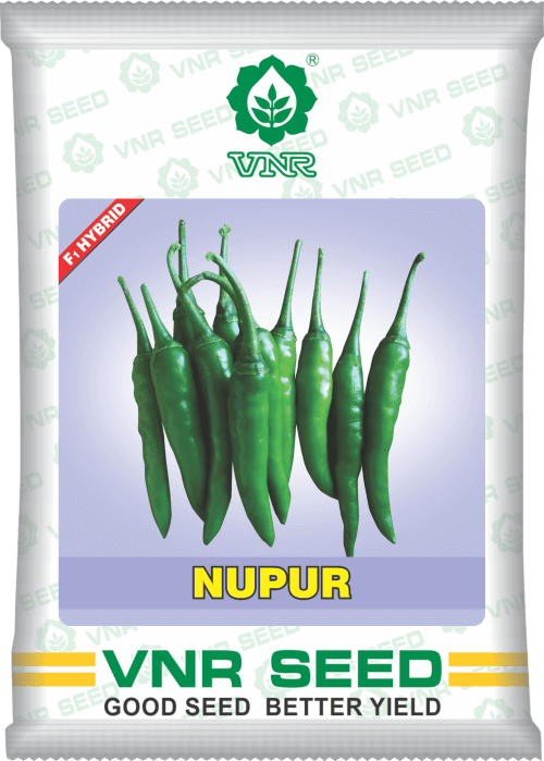 Nupur F1 Hybrid Chilli (VNR Seed's) - Farmers Stop