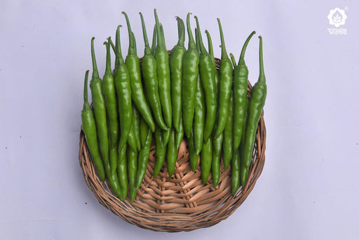 Nupur F1 Hybrid Chilli (VNR Seed's) - Farmers Stop