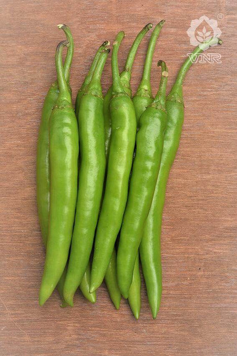 Pari F1 Hybrid Chilli (VNR Seed's) - Farmers Stop