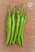 Pari F1 Hybrid Chilli (VNR Seed's) - Farmers Stop
