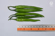 Shilpa (435/7) F1 Hybrid Chilli (VNR Seed's) - Farmers Stop