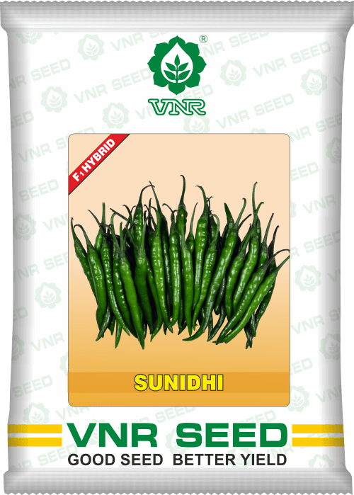 Sunidhi F1 Hybrid Chilli (VNR Seed's) - Farmers Stop