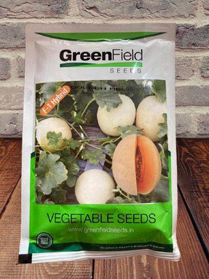Golden Melody F1 Hybrid Muskmelon (Green Field Seeds) - Farmers Stop