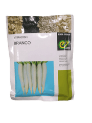 Branco F1 Hybrid Radish (Enza Zaden) - Farmers Stop