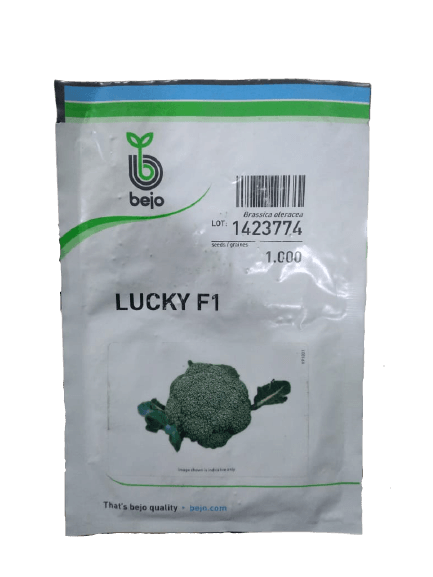 Lucky F1 Hybrid Brocolli (Bejo) - Farmers Stop