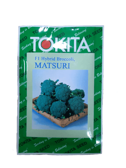 Matsuri F1 Hybrid Brocolli (Tokita Seeds) - Farmers Stop