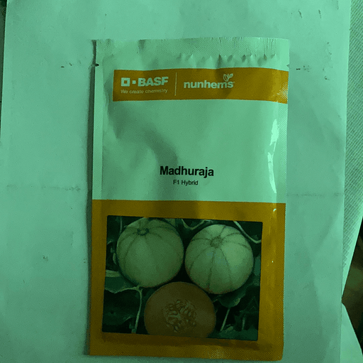 Madhuraja/मधुराजा F1 Hybrid Muskmelon (Nunhems) - Farmers Stop